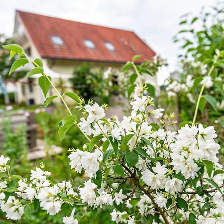 Owingen Beutenmuehle Straussenfarm Dach מראה חיצוני תמונה