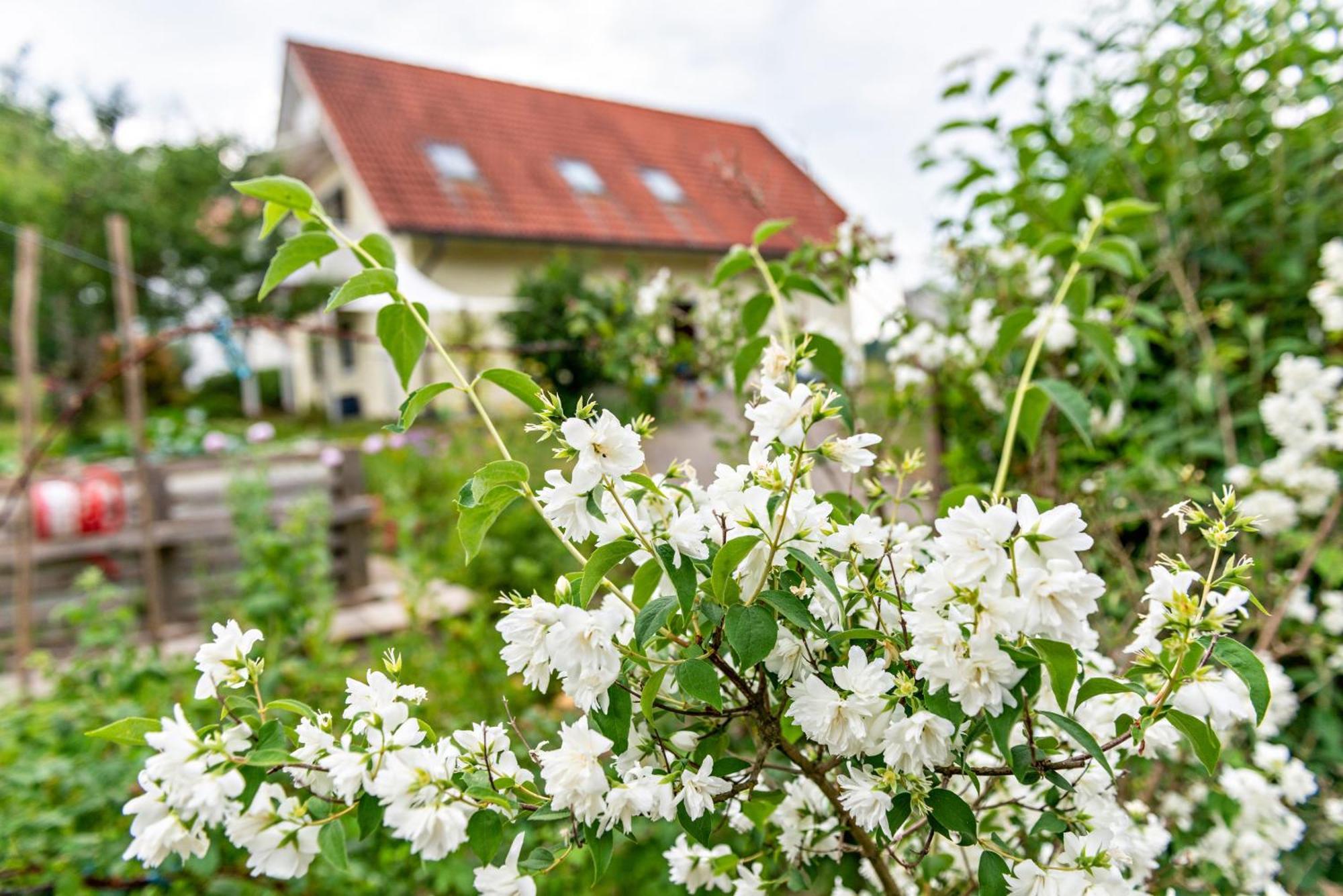Owingen Beutenmuehle Straussenfarm Dach מראה חיצוני תמונה